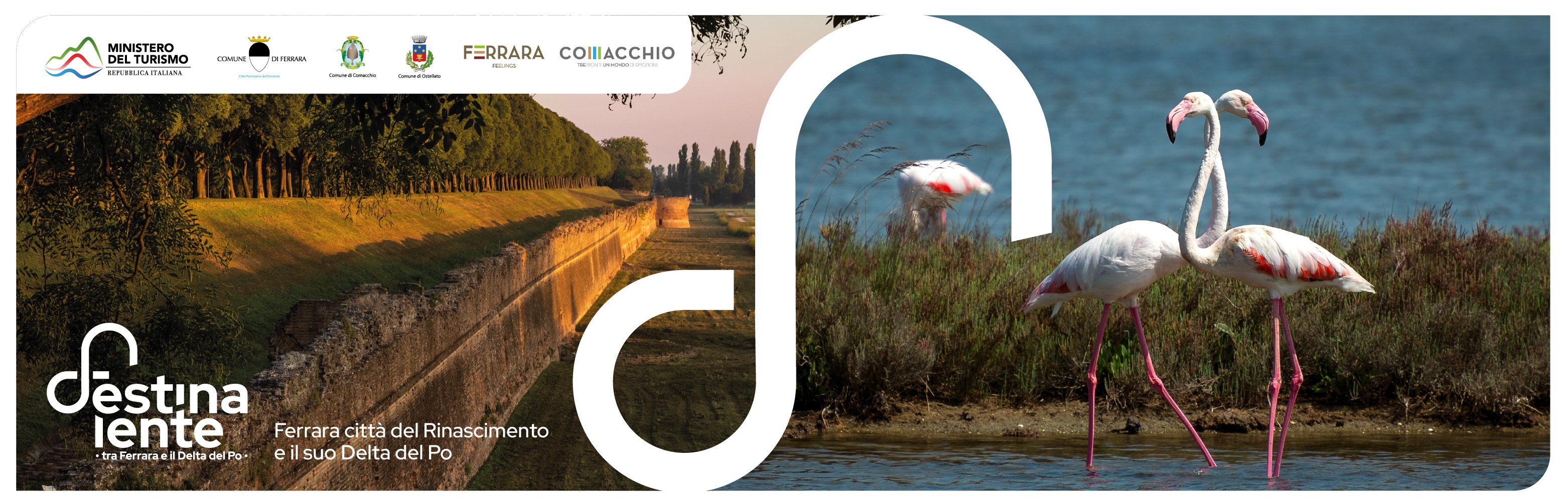 Landing page Festina lente testata