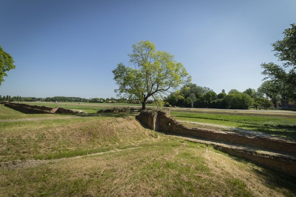 Die Stadtmauern