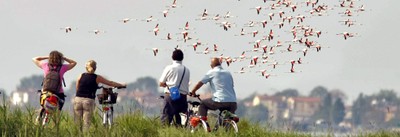 Vogelbeobachtung mit dem Fahrrad