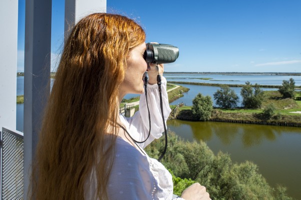 Birding tour amid Comacchio's Lagoons and Salt Pans