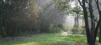 A walk in the Panfilia Woods Nature Reserve