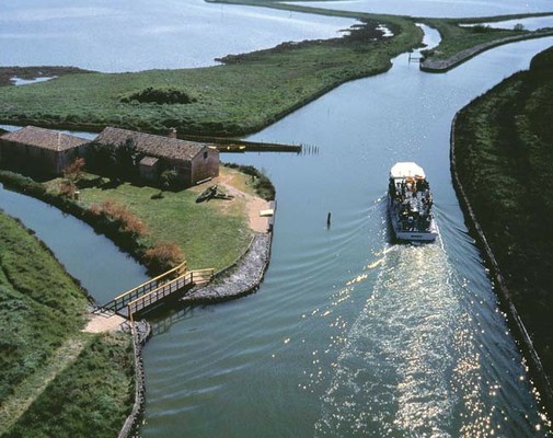 Excursion by motorboat in the Valli di Comacchio