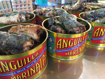 Sagra dell'Anguilla di Comacchio