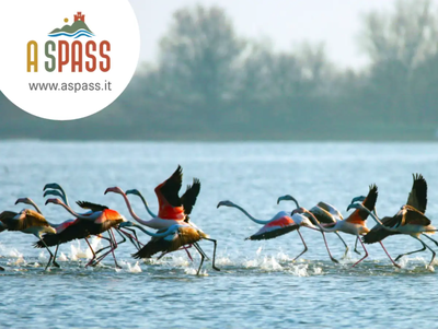 A universe of biodiversity, to be observed at every step. Reflections of the canals, the charm of the fishermen's huts, and the authentic flavours of the Po Delta.