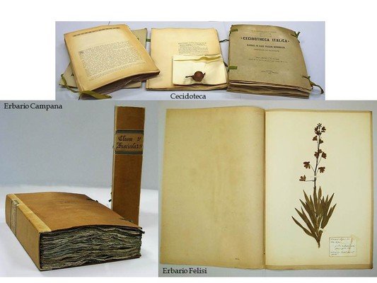 Herbarium