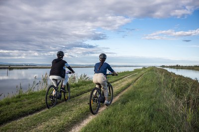 Around the Comacchio Lagoons