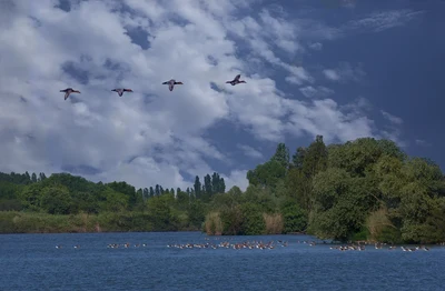 Along the ancient riverbanks of a Po tributary