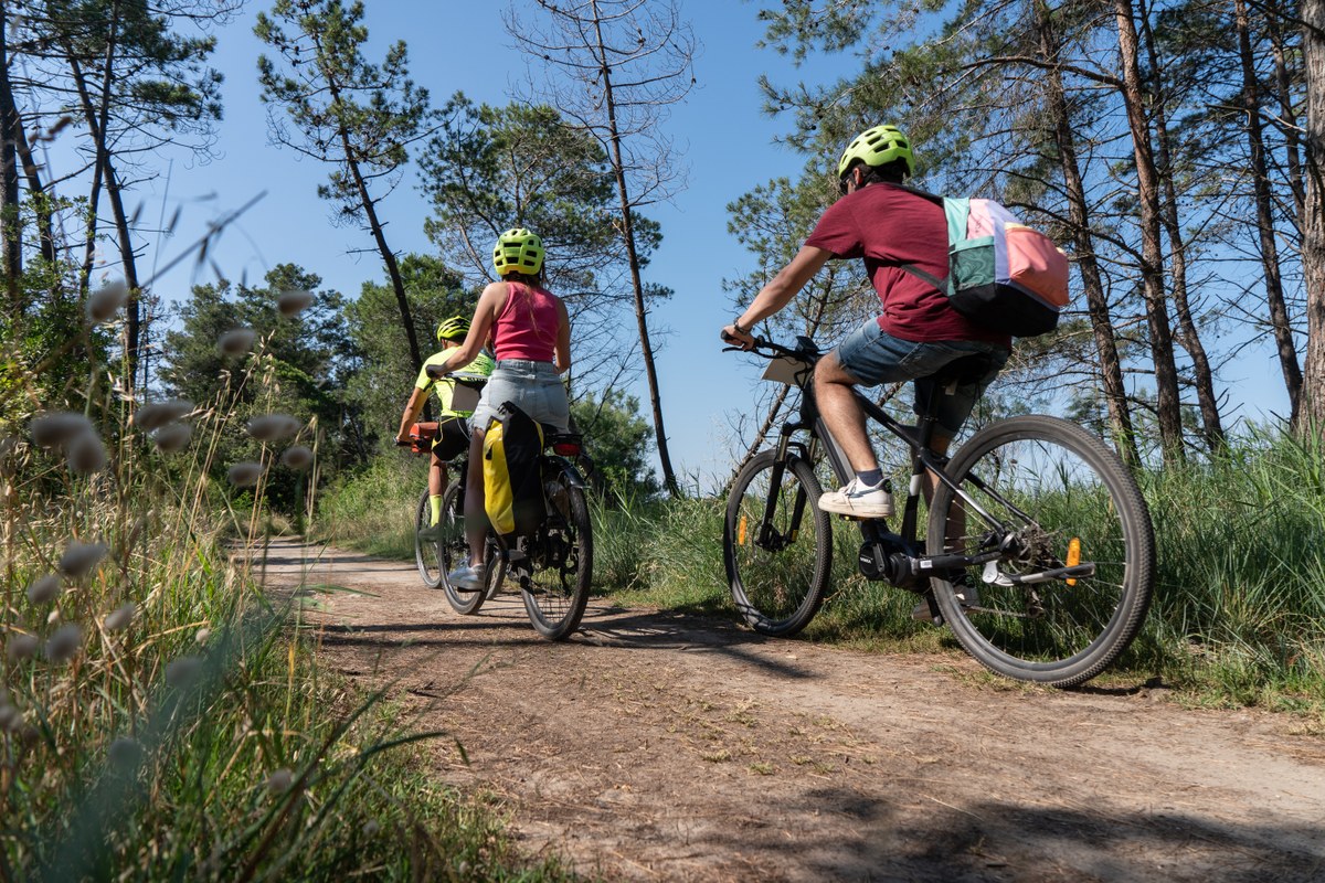 Pinewood of Po di Volano - Natural Reserve of Volano