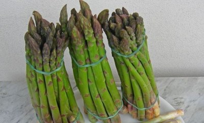 Altedo Green Asparagus IGP