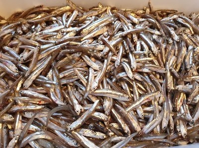 Marinated Acquadelle