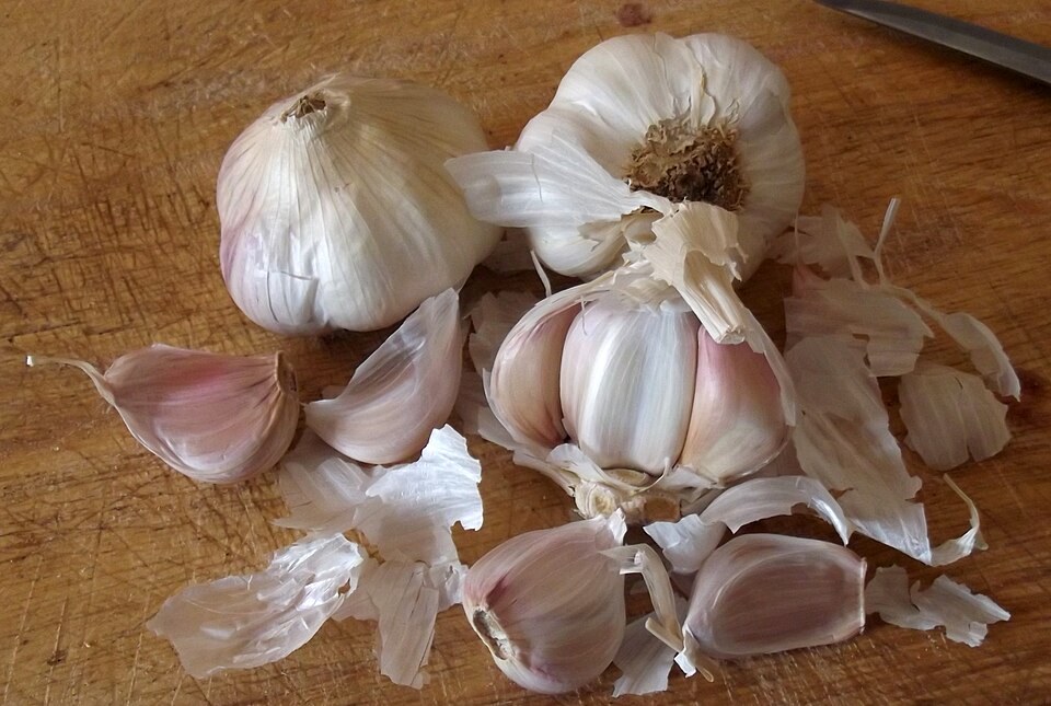 Aglio di Voghiera DOP