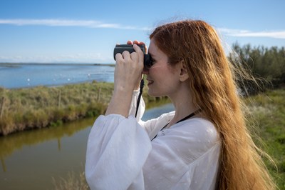 Suggestive walk along the banks of the Valleys accompanied by an expert environmental guide