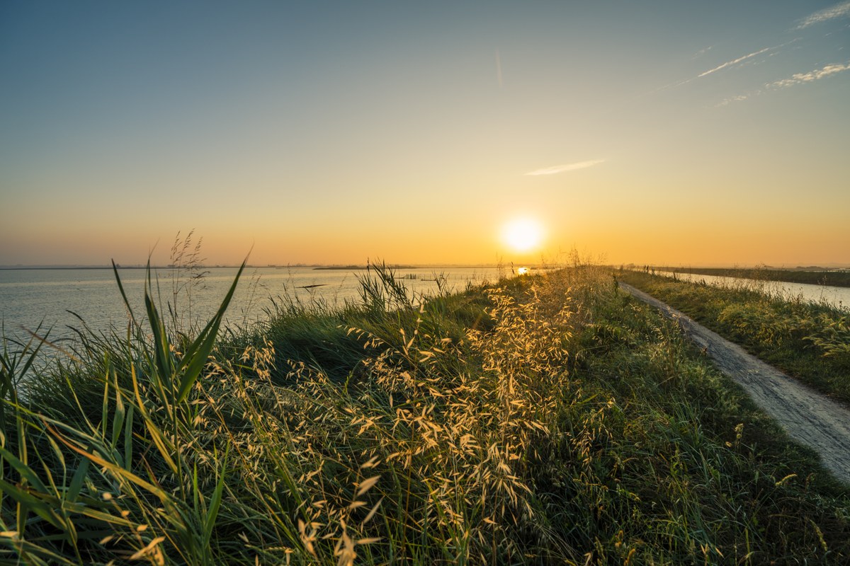 Oasi Valle Santa and Oasi Val Campotto