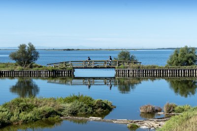 A guide will take you on a journey through time, exploring pivotal locations in Comacchio’s history