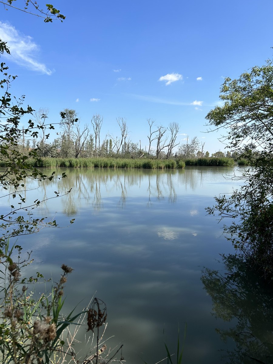 Vallette di Ostellato