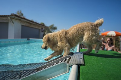 Accommodation facilities  Pet Friendly