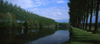 The Boscona Nature Reserve