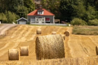 Farmstay