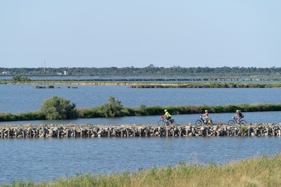 Bike rentals Lido degli Estensi