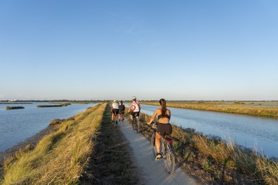 A Bike Ride across the Silence and Colours of the Comacchio Lagoon