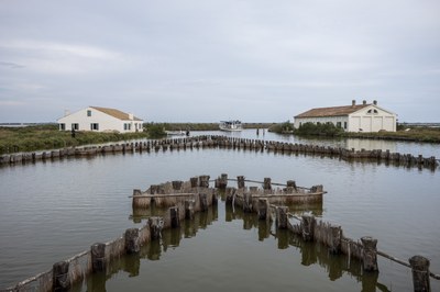 Comacchio Lagoons by Boat