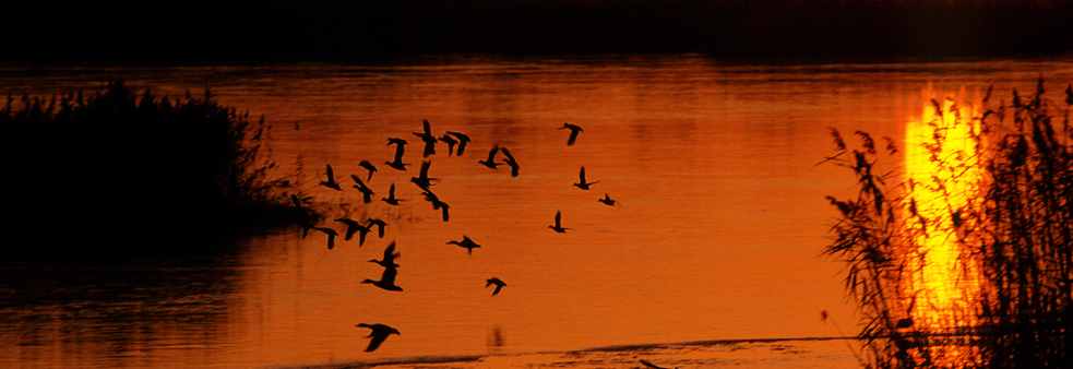 Sunset on the lagoons