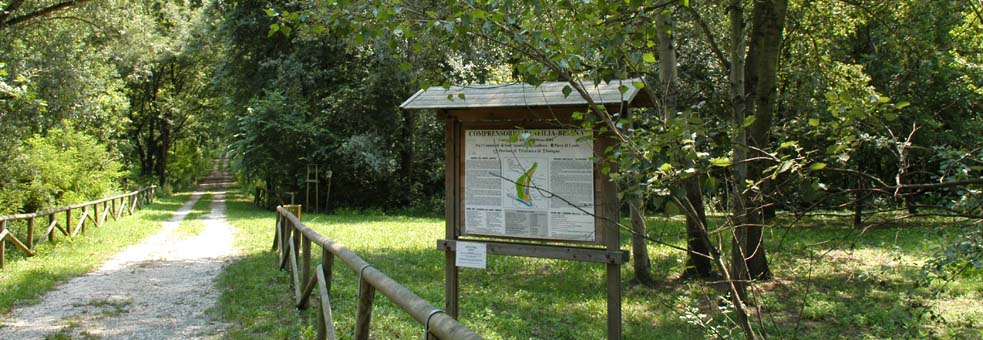 Bosco della Panfilia