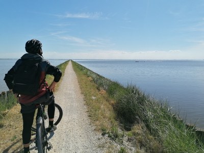 In the southern area of the Comacchio lagoons lies the Argine degli Angeli, a walkway over the water that connects Stazione di pesca Bellocchio and Stazione Oasi di Volta Scirocco.