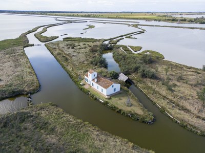 Museums and ecomuseums