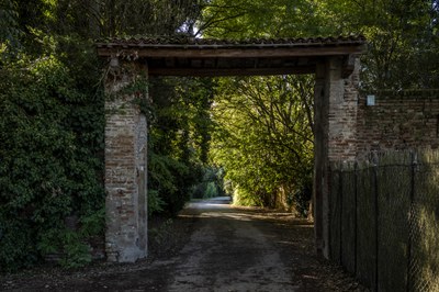 The Countryside within the Walls