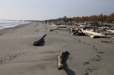 Lanterna Vecchia - Old Lighthouse