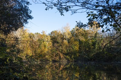 Bosco Spada Nature Reserve