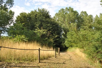 Fossil Dunes of Massenzatica Reserve