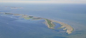 Scannone di Goro - Isola dell'Amore (Island of Love)