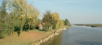 Oasis de Campotto