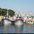 Fiesta tradicional , una procesión en el mar de barcas de pescadores, con animación y
parque de atracciones.
