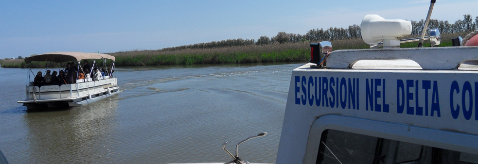 En barco para explorar el delta