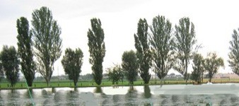 Lago Claudia 