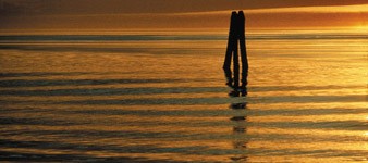 3. Promenade à vélo dans le delta du fleuve. De Venise à Ferrare