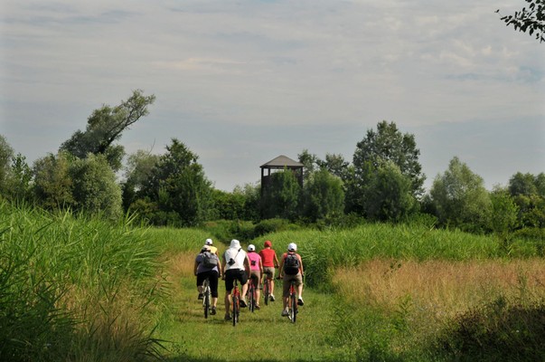 9. Les lagunes du Parc du Delta du Pô. D'Argenta à Comacchio