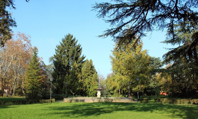 Parc Massari