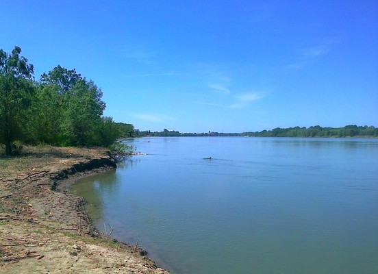 Oasis de l’Île Blanche