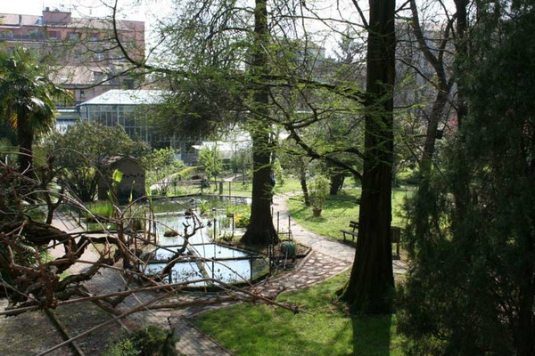 Jardin Botanique