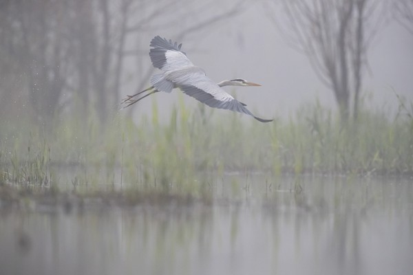 Immagine dell'evento