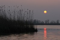 Le escursioni “Natura e Gusto”: un’esperienza sensoriale completa che unisce l’esplorazione del territorio al piacere della convivialità a tavola. Nuovi appuntamenti che fondono l’escursionismo alla gastronomia locale. Dopo l’immersione nella natura, il tour si conclude con un momento conviviale per assaporare i prodotti del territorio