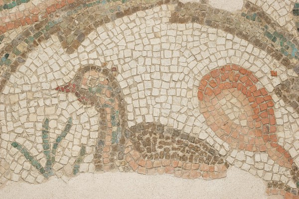 Immagine dell'evento