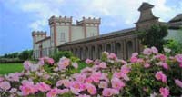 Sorprendono il visitatore che oggi le scorge isolate nella campagna; un tempo queste monumentali residenze... 