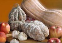 La tradizione enogastronomica ferrarese vanta specialità di antica tradizione e fortemente legate al territorio, scopriamoli insieme!