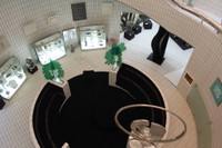 Conferenze presso il giardino della Casa Museo Remo Brindisi 