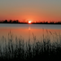 Musica dal vivo al tramonto nelle valli di Comacchio